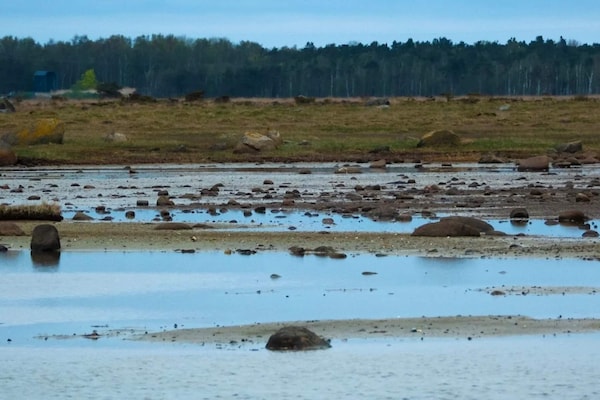 Foto van 6 persoons vakantie huis in Læsø-By Traum - Vakantiehuis in Læsø - WaterView