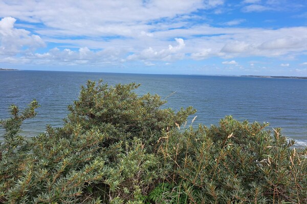 Foto van 8 persoons vakantie huis in Struer-By Traum - Vakantiehuis in Struer - WaterView