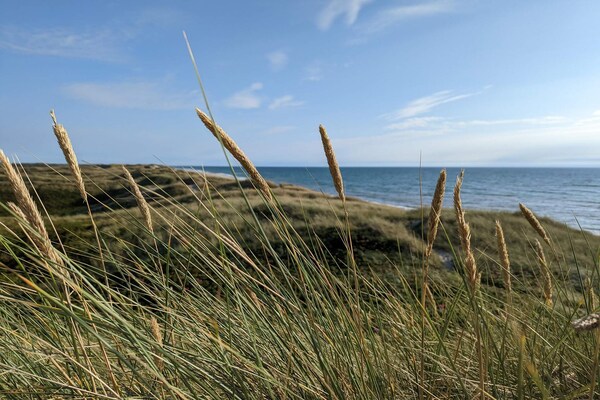 Foto van 6 persoons vakantie huis in Ulfborg-By Traum - Vakantiehuis in Ulfborg - Untagged