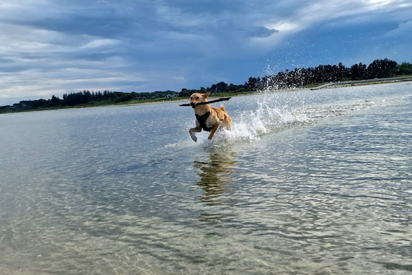 Foto van 6 persoons vakantie huis in Hadsund-By Traum - Vakantiehuis in Hadsund - WaterView