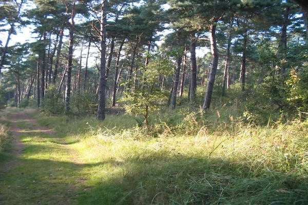 Foto van Licht vakantiehuis met bubbelbad -- By Traum Ferienwohnungen - Untagged