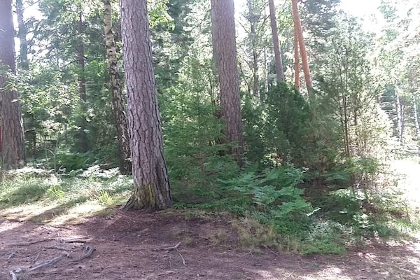 Foto van 6 persoons vakantie huis in SÄFFLE-By Traum - Vakantiehuis in SÄFFLE - Untagged