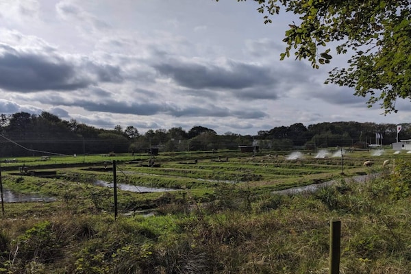 Foto van 6 persoons vakantie huis in Hovborg-By Traum - Vakantiehuis in Hovborg - Untagged