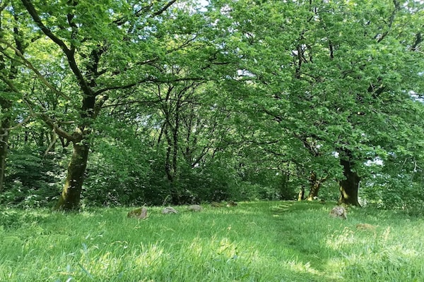 Foto van 6 persoons vakantie huis in Hovborg-By Traum - Vakantiehuis in Hovborg - Untagged