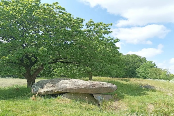 Foto van 6 persoons vakantie huis in Hovborg-By Traum - Vakantiehuis in Hovborg - Untagged