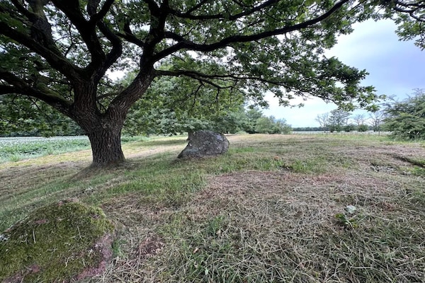 Foto van 6 persoons vakantie huis in Hovborg-By Traum - Vakantiehuis in Hovborg - Untagged