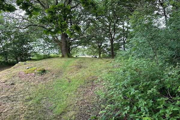 Foto van 6 persoons vakantie huis in Hovborg-By Traum - Vakantiehuis in Hovborg - Untagged