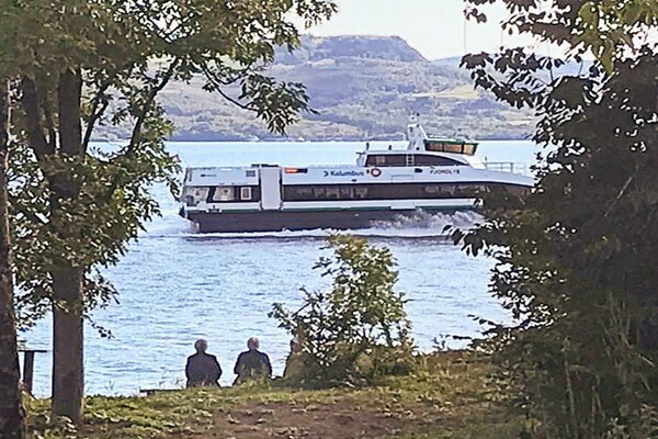 Foto van 8 persoons vakantie huis in Jelsa-By Traum - Vakantiehuis in Jelsa - Outdoor