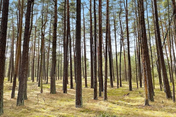 Foto van 6 persoons vakantie huis in YNGSJÖ-By Traum - Vakantiehuis in YNGSJÖ - Untagged