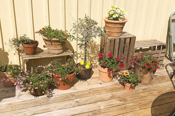 Foto van 8 persoons vakantie huis in KLÖVEDAL-By Traum - Vakantiehuis in KLÖVEDAL - Outdoor