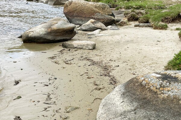 Foto van 3 persoons vakantie huis in SÖLVESBORG-By Traum - Vakantiehuis in SÖLVESBORG - Untagged