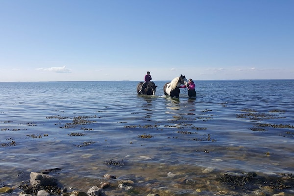 Foto van 18 persoons vakantie huis in Bogense - Vakantiehuis in Bogense - WaterView