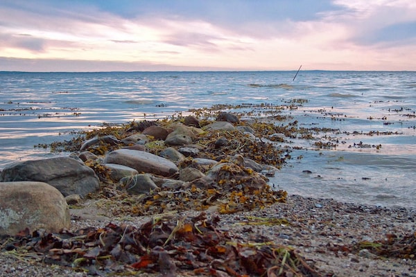 Foto van 18 persoons vakantie huis in Bogense - Vakantiehuis in Bogense - WaterView