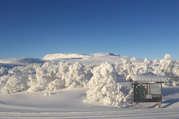 Foto van 4 persoons vakantie huis in GEILO-By Traum - Vakantiehuis in GEILO - Untagged