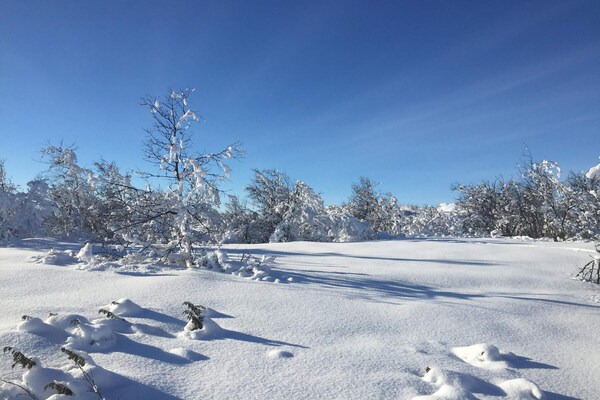 Foto van 4 persoons vakantie huis in GEILO-By Traum - Vakantiehuis in GEILO - Untagged