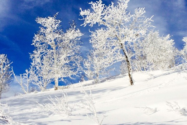 Foto van 4 persoons vakantie huis in GEILO-By Traum - Vakantiehuis in GEILO - Untagged