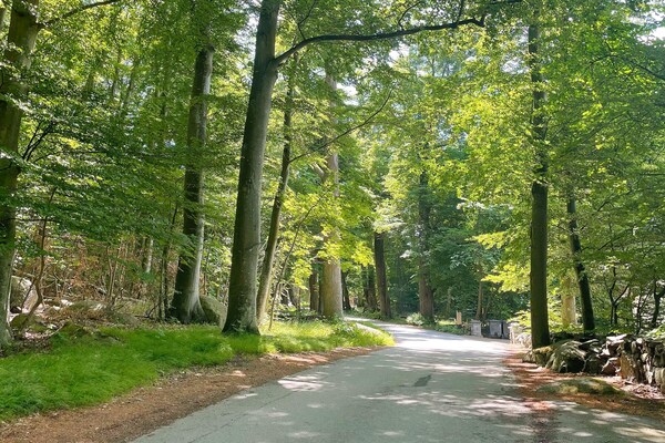 Foto van 6 persoons vakantie huis in SÖLVESBORG-By Traum - Vakantiehuis in SÖLVESBORG - Untagged