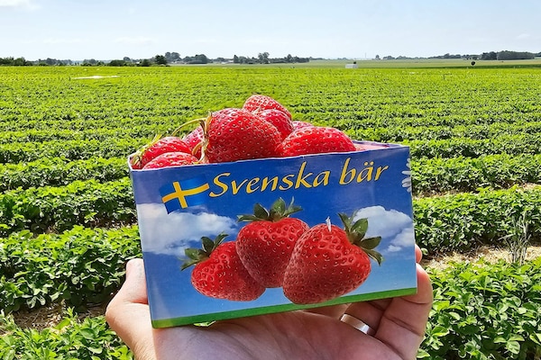 Foto van 4 sterren vakantie huis in åHUS-By Traum - Vakantiehuis in åHUS - Untagged