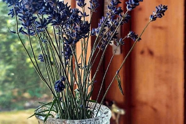 Foto van 6 persoons vakantie huis in MELLERUD-By Traum - Vakantiehuis in MELLERUD - Untagged