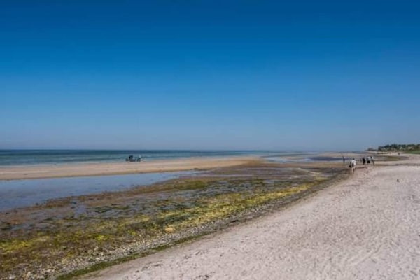 Foto van 6 persoons vakantie huis in Glesborg-By Traum - Vakantiehuis in Glesborg - WaterView
