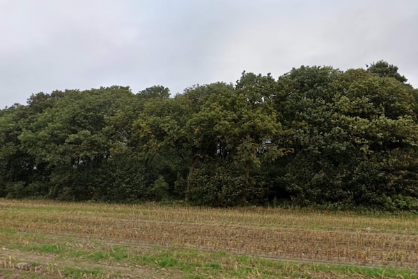 Foto van 5 sterren vakantie huis in Hovborg-By Traum - Vakantiehuis in Hovborg - Untagged