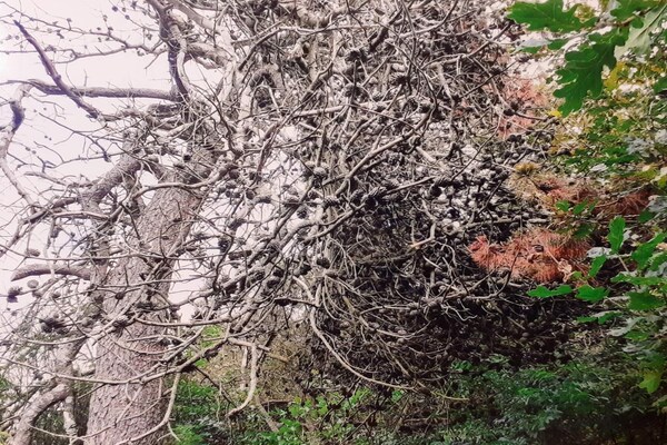 Foto van 8 persoons vakantie huis in Skjern-By Traum - Vakantiehuis in Skjern - Untagged