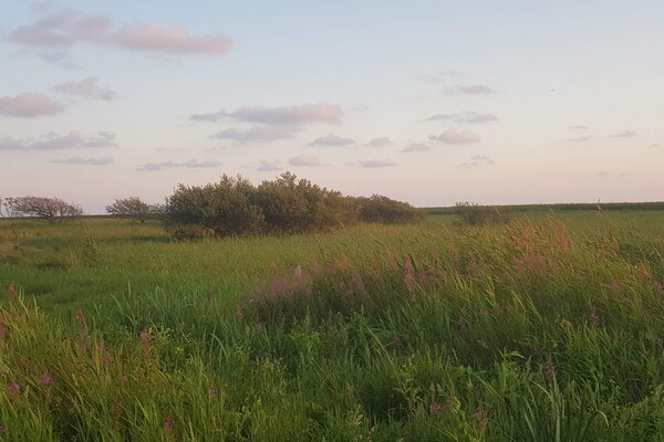 Foto van 8 persoons vakantie huis in Skjern-By Traum - Vakantiehuis in Skjern - Untagged