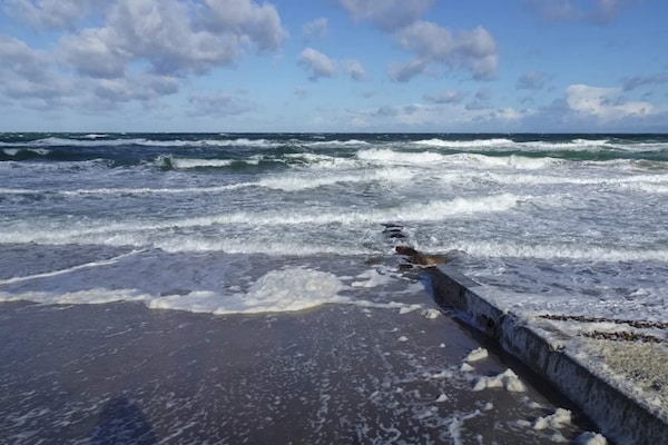 Foto van 4 persoons vakantie huis in Græsted-By Traum - Vakantiehuis in Græsted - WaterView