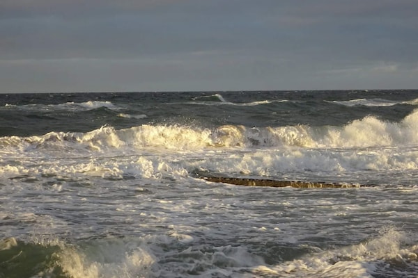 Foto van 4 persoons vakantie huis in Græsted-By Traum - Vakantiehuis in Græsted - WaterView