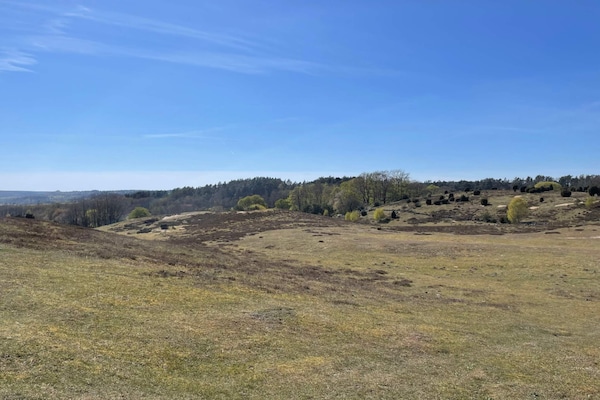 Foto van Houten huisje met rustieke charme - Vakantiehuis in DEGEBERGA - Outdoor