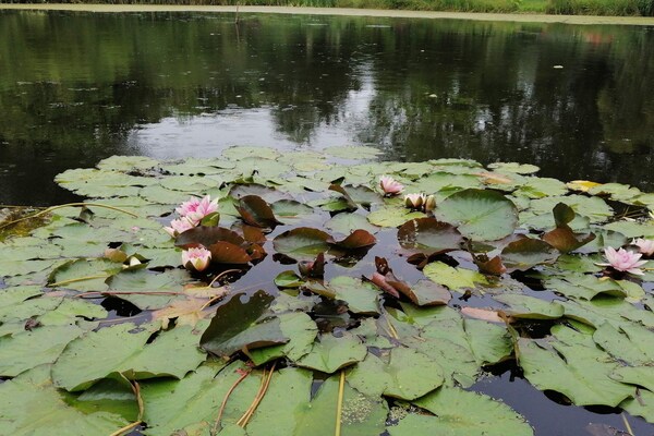 Foto van Gezellig toevluchtsoord bij Koge Bay -- By Traum Ferienwohnungen - WaterView