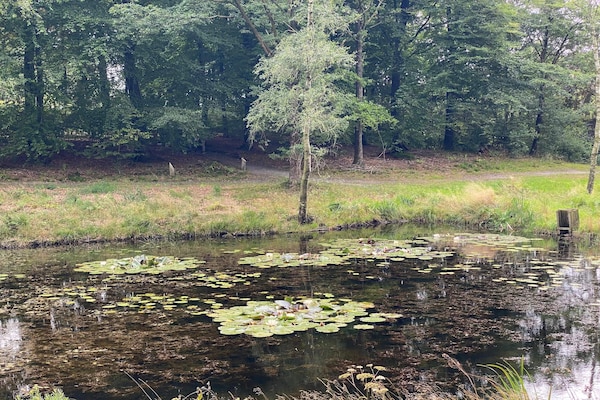 Foto van 4 sterren vakantie huis in Hovborg-By Traum - Vakantiehuis in Hovborg - WaterView
