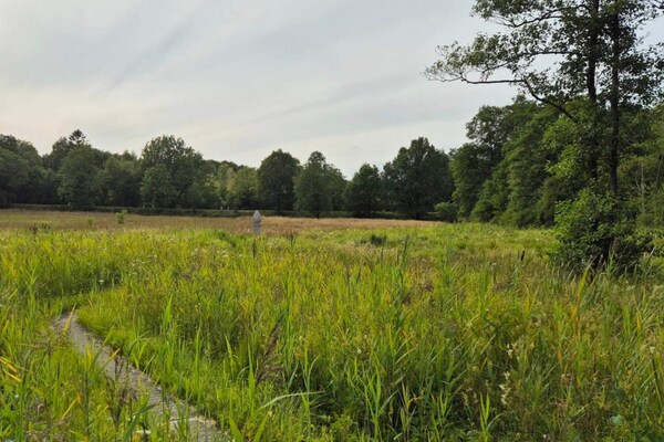 Foto van Sfeervol toevluchtsoord in Sydjylland -- By Traum Ferienwohnungen - Untagged