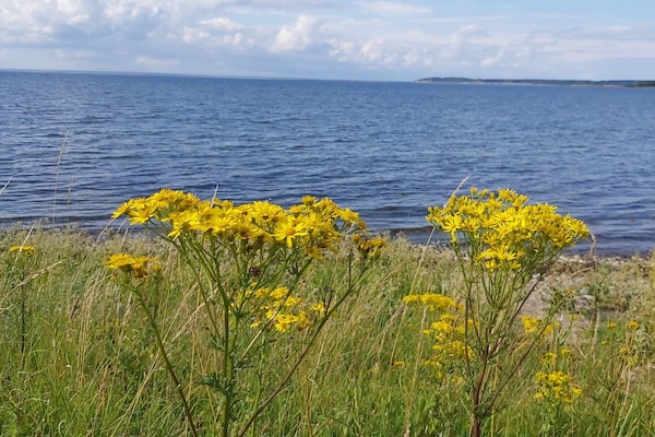 Foto van 4 persoons vakantie huis in Bogense-By Traum - Vakantiehuis in Bogense - WaterView