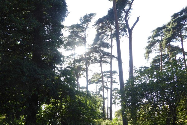 Foto van 4 persoons vakantie huis in Bogense-By Traum - Vakantiehuis in Bogense - Untagged