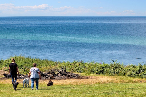 Foto van 4 persoons vakantieparkhuis in Gilleleje - Vakantiehuis in Gilleleje - WaterView