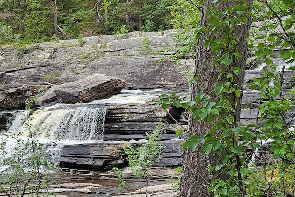 Foto van 4 Personen vakantie huis in Föllinge - Vakantiehuis in Föllinge - Outdoor