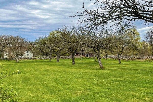 Foto van 4 sterren vakantie huis in HALTORP - Vakantiehuis in HALTORP - Outdoor