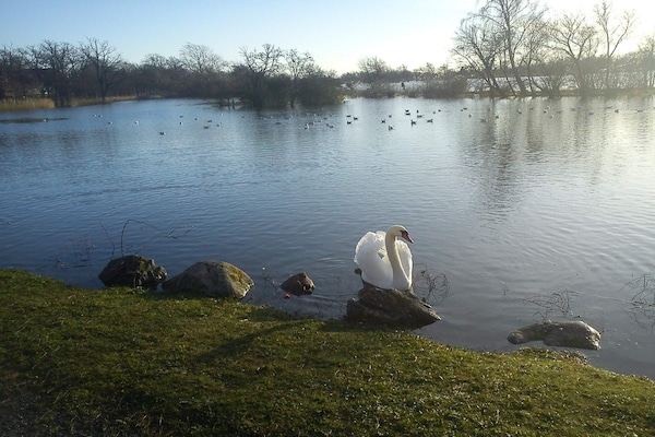 Foto van 5 Personen vakantie huis in Nakskov - Vakantiehuis in Nakskov - WaterView