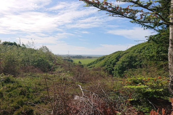 Foto van 4 sterren vakantie huis in Brovst - Vakantiehuis in Brovst - Untagged