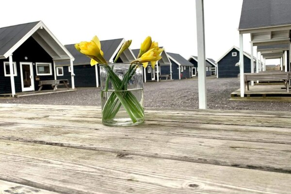 Foto van 4 sterren vakantie huis in Thyborøn - Vakantiehuis in Thyborøn - Outdoor