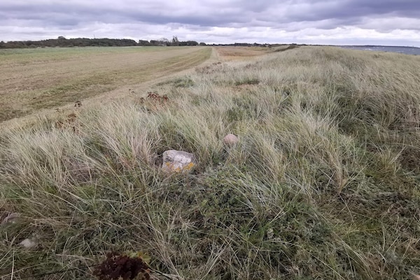 Foto van 8 persoons vakantie huis in Dannemare-By Traum - Vakantiehuis in Dannemare - Untagged