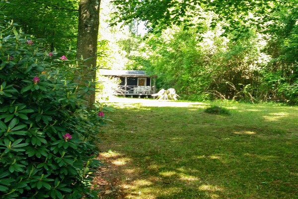 Foto van 4 persoons vakantie huis in Silkeborg-By Traum - Vakantiehuis in Silkeborg - View