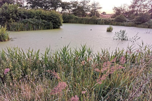 Foto van 6 persoons vakantie huis in Frederikshavn-By Traum - WaterView