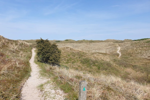 Foto van 10 persoons vakantie huis in Bindslev-By Traum - Vakantiehuis in Bindslev - Untagged