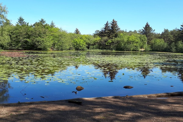 Foto van 10 persoons vakantie huis in Bindslev-By Traum - Vakantiehuis in Bindslev - WaterView