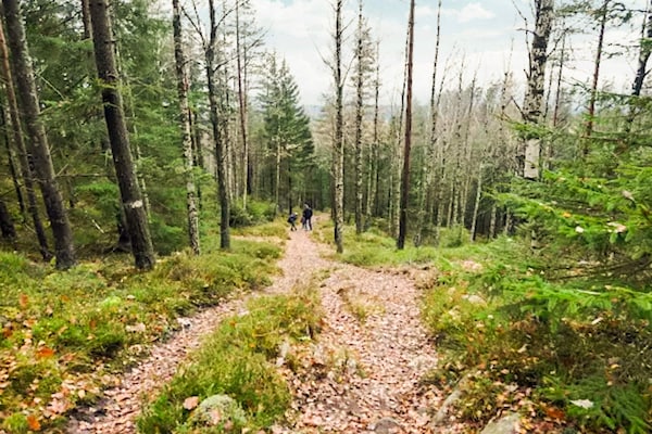 Foto van 4 persoons vakantie huis in BORÅS - Vakantiehuis in BORÅS - Untagged