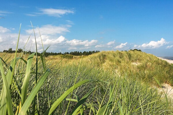 Foto van Gerenoveerd huisje in Bratten - bij Traum - Vakantiehuis in Jerup - WaterView