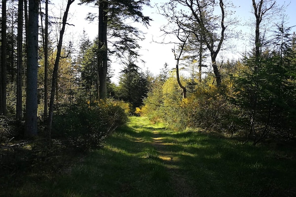 Foto van 10 persoons vakantie huis in Thisted-By Traum - Vakantiehuis in Thisted - Untagged