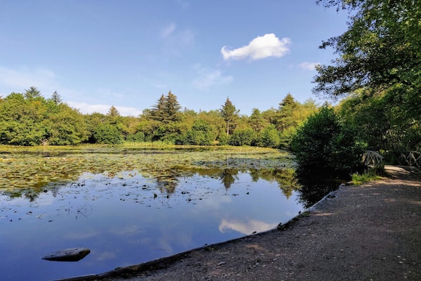 Foto van 6 persoons vakantie huis in Bindslev-By Traum - Vakantiehuis in Bindslev - WaterView